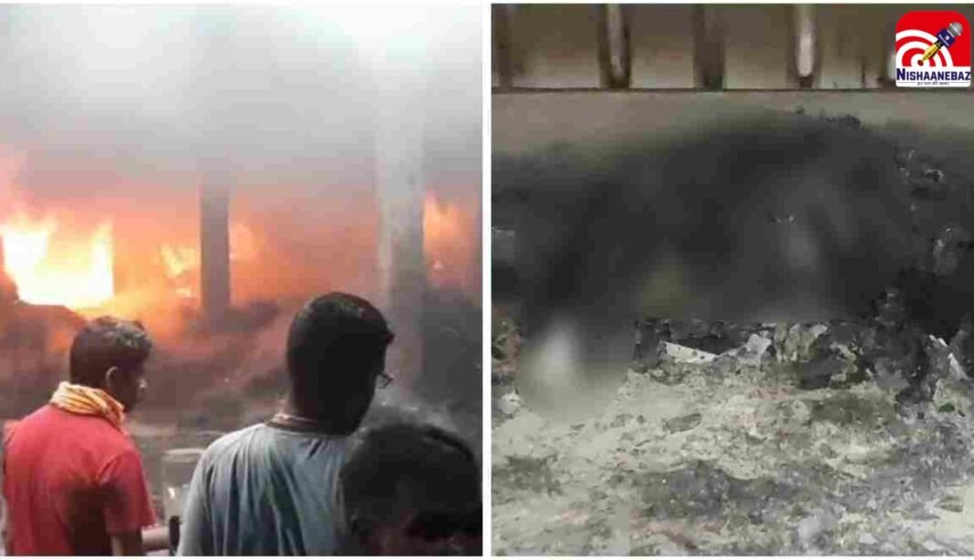 M.P News : जबलपुर के एडवेंचर पार्क में भीषण आग, एक की जिंदा जलकर मौत