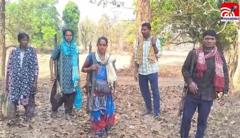 C.G News : कांकेर में हथियारों के साथ सरेंडर करने निकले 5 नक्सली, पहुंचेंगे एसपी ऑफिस