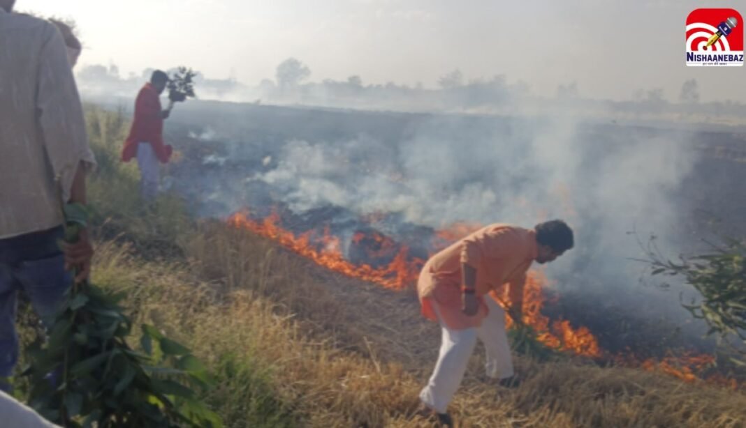 M.P News : भोपाल में गेहूं की खड़ी फसल में भीषण आग, 15 एकड़ राख, किसानों को बड़ा नुकसान