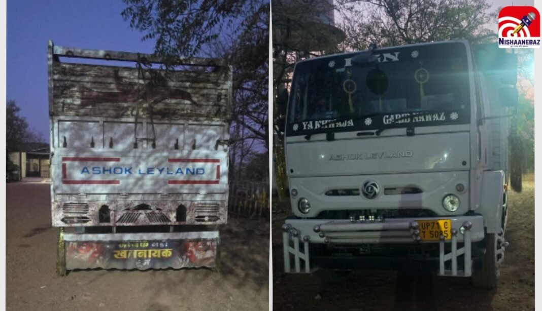 M.P News : रीवा में सेमरिया पुलिस की बड़ी कार्रवाई, ट्रक से 34 भैंसें जप्त, 80 लाख का मशरूका बरामद