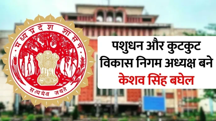 MP News: