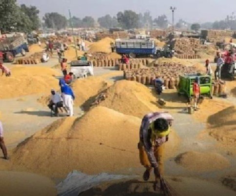 CG NEWS : मुंगेली के हथनीकला धान खरीदी केंद्र में 2.54 करोड़ रुपये के धान गबन का मामला, FIR दर्ज कर जांच शुरू