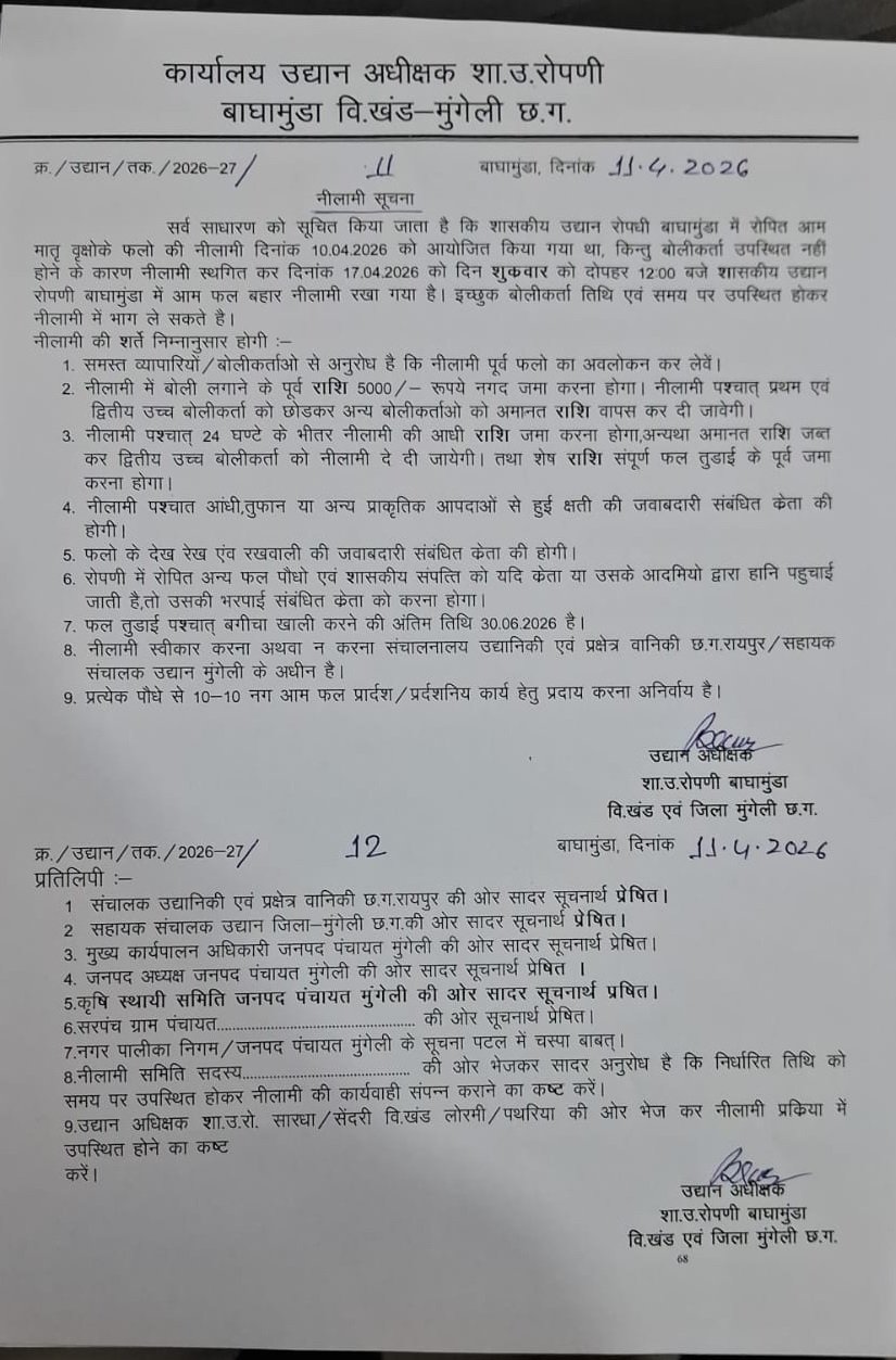 Mungeli News: बाघामुंडा में आम फलों की नीलामी 17 अप्रैल को, इच्छुक व्यापारी ले सकते हैं हिस्सा