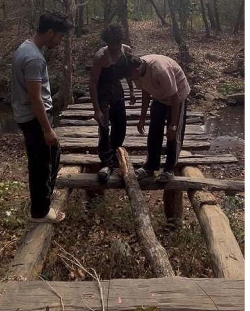 CG NEWS : माकड़ी का “हिडन ब्रिज” फिर से चमकेगा: युवाओं ने बदली तस्वीर, नशे के अड्डे को बनाया स्वच्छ पिकनिक स्पॉट