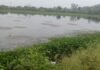 CG NEWS : बगमुड़ा तालाब: कभी नगर की ‘धड़कन’ था, आज जलकुंभी का ‘डंपिंग यार्ड’ CG NEWS