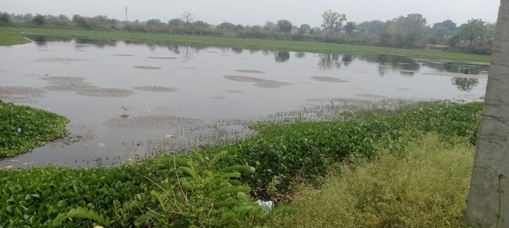 CG NEWS : बगमुड़ा तालाब: कभी नगर की ‘धड़कन’ था, आज जलकुंभी का ‘डंपिंग यार्ड’