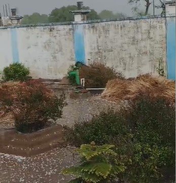 Reva News : तराई अंचल क्षेत्र अंतर्गत 73 तहसील के बरेठी कोराव इलाके में भारी ओलावृष्टि, अन्नदाताओं की फसले हुई तबाह, क्या बोले –डिप्टी सीएम