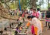 CG NEWS : सोडसिवनी कड़सार जतरा में शामिल हुईं लता उसेंडी, आस्था और परंपरा का महापर्व बना आकर्षण का केंद्र CG NEWS