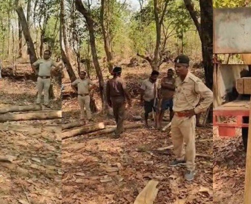 Kanker Forest Department