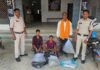 CG NEWS : गांजा-शराब रेड, और जब्ती — “ऑपरेशन आघात” में लगातार रायगढ़ पुलिस का एक्शन, 5 आरोपी गिरफ्तार CG NEWS