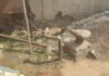 CG NEWS: घरघोड़ा में ‘विकास’ की हकीकत: कागज़ों में बहता पानी, ज़मीनी स्तर पर सूखे नल
