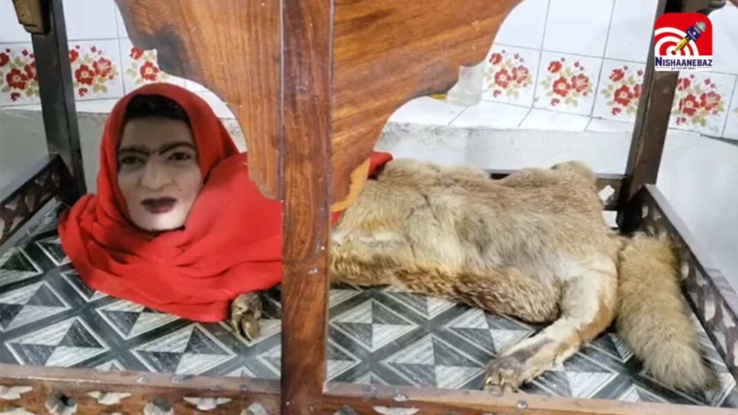 आधा इंसान-आधा जानवर! कराची चिड़ियाघर की ‘मुमताज बेगम’ बनी रहस्य और आकर्षण का केंद्र