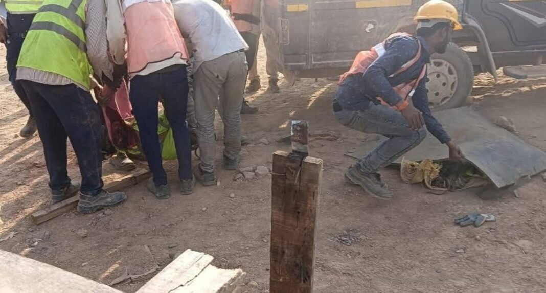 Singrauli News: कन्वेयर निर्माण के दौरान दर्दनाक हादसा, लोहे की पाइप गिरने से श्रमिक की मौत