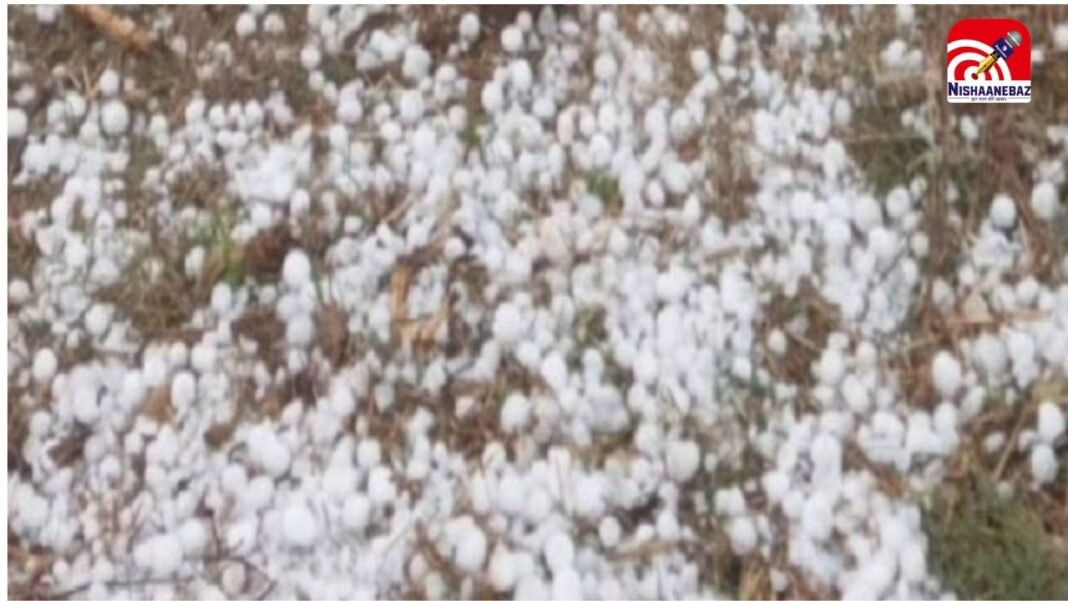 M.P में मौसम का कहर! ओलावृष्टि से सफेद हुई सड़कें और खेत