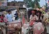 M.P News : बिना DJ और लग्जरी गाड़ियों के अनोखी बारात ने जीता दिल, बुजुर्गों को याद आया अपना जमाना