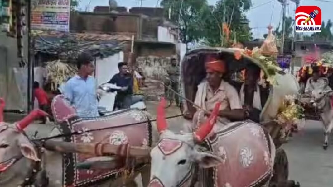 M.P News : बिना DJ और लग्जरी गाड़ियों के अनोखी बारात ने जीता दिल, बुजुर्गों को याद आया अपना जमाना