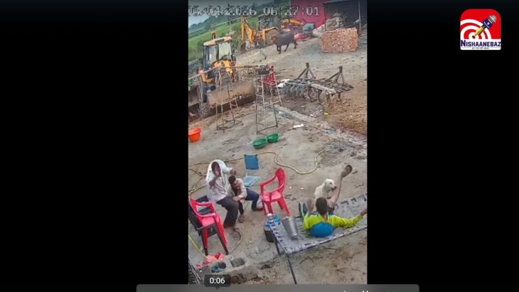 M.P News : महू में खूंखार कुत्ते का हमला, 4 लोग घायल, CCTV फुटेज वायरल