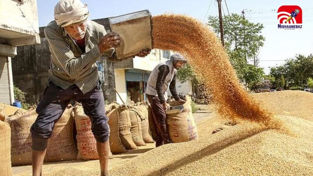 MP में गेहूं खरीदी शुरू, पहले दिन 1,616 क्विंटल उपार्जन, खरीदी में देरी पर सियासत तेज, कांग्रेस ने किया विरोध