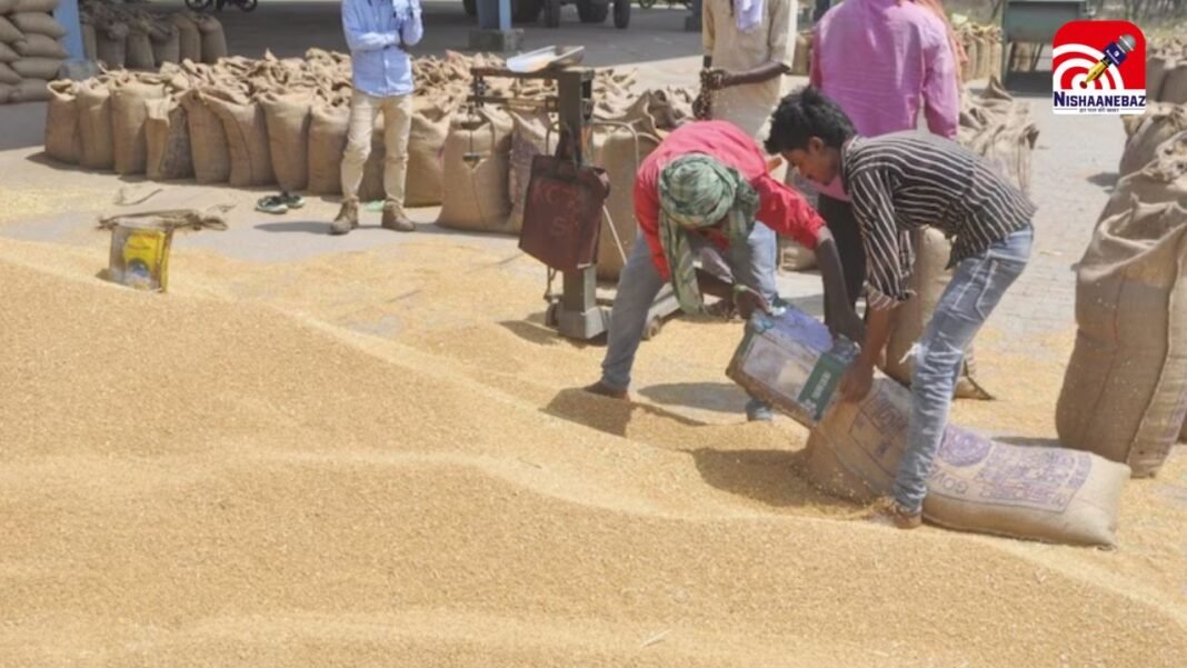 M.P में 10 अप्रैल से गेहूं खरीदी शुरू, किसानों को मिलेगा बोनस