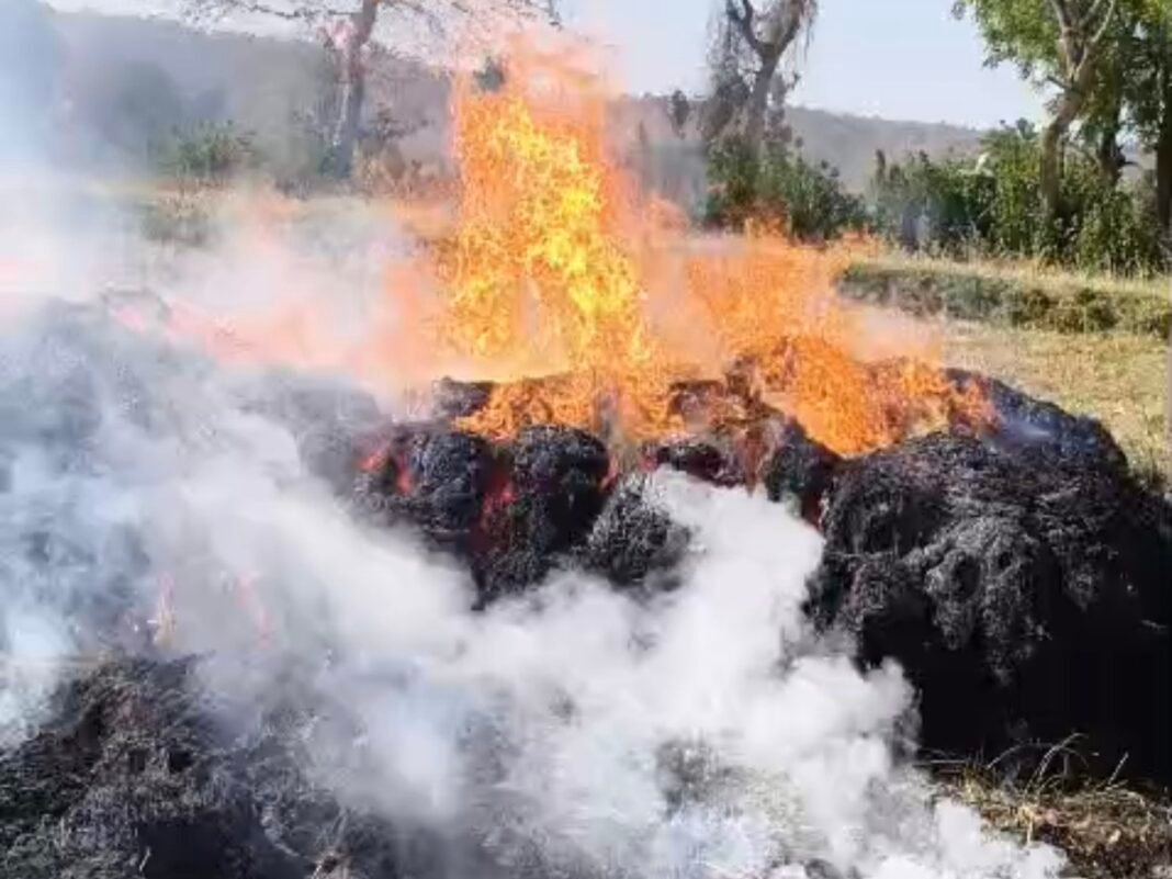 MP News: सिंगरौली में भीषण आग, गेहूं के ढेर से उठी लपटों ने घर को घेरा