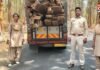 C.G News : माकड़ी रेंज में वन विभाग की बड़ी कार्रवाई, अवैध सागौन लकड़ी जब्त