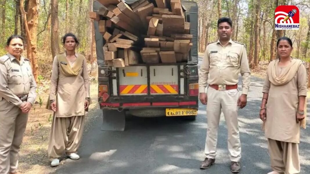 C.G News : माकड़ी रेंज में वन विभाग की बड़ी कार्रवाई, अवैध सागौन लकड़ी जब्त