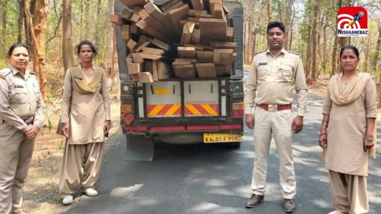 C.G News : माकड़ी रेंज में वन विभाग की बड़ी कार्रवाई, अवैध सागौन लकड़ी जब्त