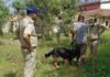 Singrauli News: घरवाले सोते रहे, चोरों ने बनाया निशाना—नकदी और लाखों के जेवर लेकर फरार