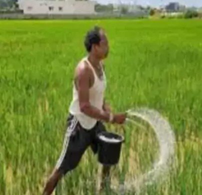 chhattisgarh nano fertilizers Use: खेती में बढ़ रहा नैनो खाद का उपयोग, अच्छी पैदावार के साथ किसानों को मिल रहे कई फायदे