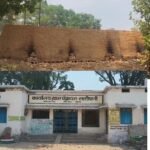 Lailunga News