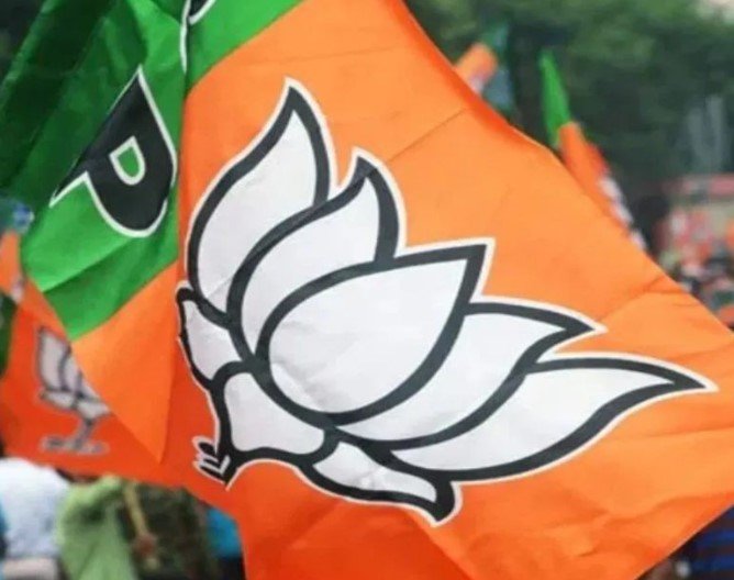 Jagdalpur News : भाजयुमो की नई जिला कार्यकारिणी घोषित, 13 मंडल अध्यक्षों की नियुक्ति, देखें लिस्ट