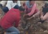katni-tamba-chori-sewer:कटनी में ‘तांबा लूट’ का खेल: सीवर गड्ढे में उतरकर केबल काटते दिखे लोग, पुलिस भी बेबस