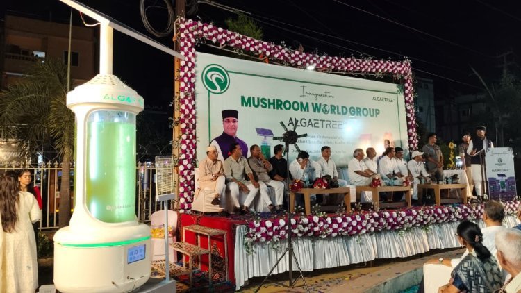 भोपाल बना देश का पहला शहर, जहां शुरू हुई कार्बन कैप्चरिंग तकनीक ‘एल्गी ट्री’
