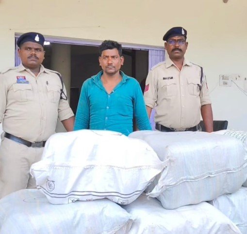 Jashpur News : आम की ट्रे के बीच छिपाकर हो रही थी गांजा तस्करी, जशपुर पुलिस ने 1.3 करोड़ का माल किया जब्त