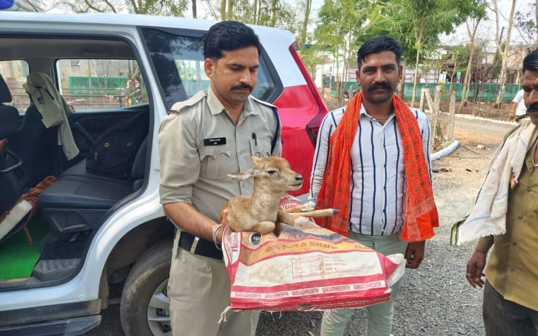 constable-saves-deer-cub: पुलिस का मानवीय चेहरा! डायल-112 टीम ने घायल हिरन के बच्चे को दिया नया जीवन