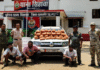 CG Crime : धमतरी पुलिस का बड़ा एक्शन: लग्जरी कार से 55 किलो गांजा जब्त, ओडिशा से महाराष्ट्र ले जा रहे तीन तस्कर गिरफ्तार