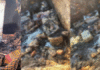 CG Cylinder Blast: एक धमाका… और खत्म हो गया पूरा परिवार: दुर्ग में सिलेंडर ब्लास्ट के बाद घर बना मौत का आग का गोला, चार जिंदा जले