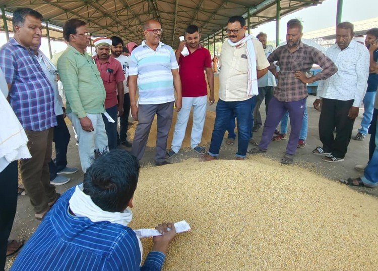 kareli-mandi-soybean-price-hike: सोयाबीन बना किसानों का ‘सोना’, करेली मंडी में दाम पहुंचा 8000 रुपए प्रति क्विंटल