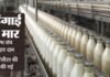 bhopal-milk-price-hike: आज से महंगा हुआ सांची दूध ,भोपाल सहित पूरे मध्य प्रदेश में आज से नई दरें लागू