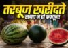 धारीदार या चिकना हरा, कौन-सा तरबूज है ज्यादा बेहतर? खरीदने से पहले जरूर जान लें ये बातें…