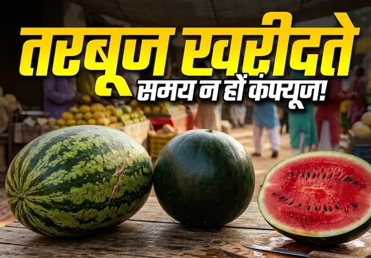 धारीदार या चिकना हरा, कौन-सा तरबूज है ज्यादा बेहतर? खरीदने से पहले जरूर जान लें ये बातें…