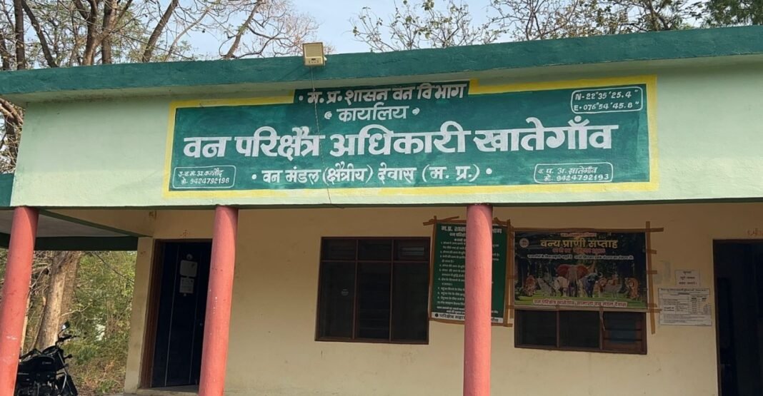 Mp news:तेंदूपत्ता संग्रहण में मजदूरों का शोषण,बिना भुगतान ली जा रहीं अतिरिक्त गड्डियां जानिए पूरी खबर…
