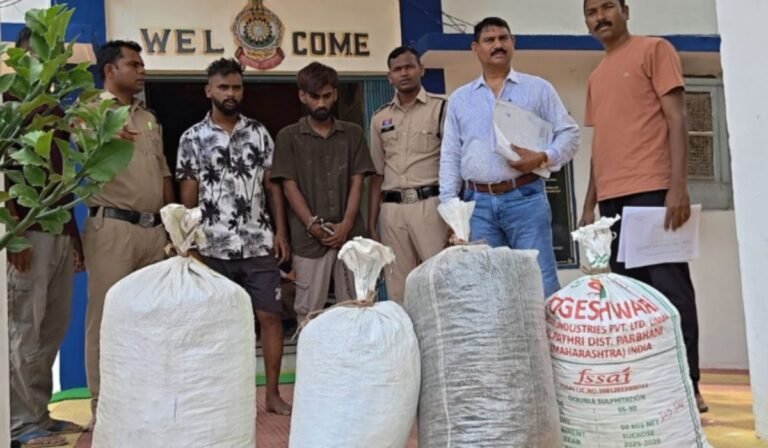 Devbhog Ganja Seizure: देवभोग पुलिस की बड़ी कार्रवाई: 75 लाख का डेढ़ क्विंटल गांजा जब्त, पुलिस को कुचलने की कोशिश करने वाले 5 तस्कर गिरफ्तार