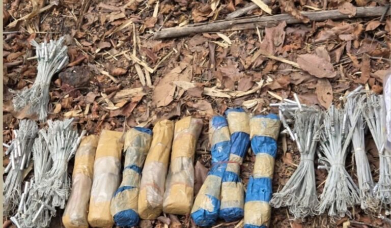 Naxal Bump Recovery: कांकेर-नारायणपुर सीमा पर सुरक्षाबलों की बड़ी सफलता दो नक्सली डंप बरामद, 1000 डेटोनेटर और भारी मात्रा में विस्फोटक जब्त