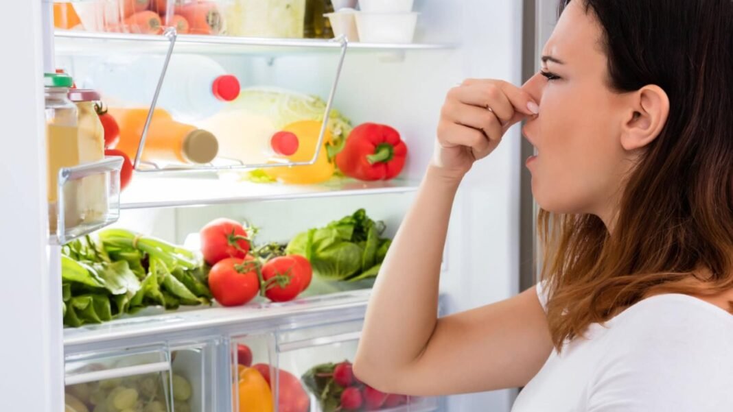 Fridge Smell Removal Tips: किचन में महक उठेगी ताजगी: कॉफी पाउडर और नींबू से चुटकियों में गायब होगी फ्रिज की तीखी स्मेल