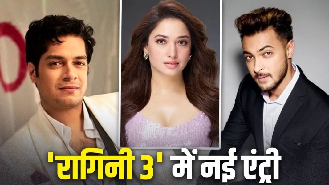 Ragini 3 Movie News : ‘रागिनी 3’ में आयुष शर्मा और जुनैद खान की एंट्री: तमन्ना भाटिया संग दिखेगा सस्पेंस और रोमांस का तड़का