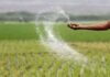 CG Kisan News: छत्तीसगढ़ के किसानों के लिए नया नियम, खरीफ सीजन के लिए खाद वितरण का नया फॉर्मूला लागू
