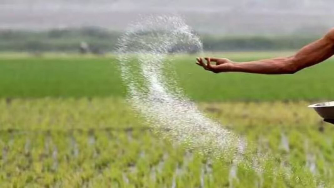CG Kisan News: छत्तीसगढ़ के किसानों के लिए नया नियम, खरीफ सीजन के लिए खाद वितरण का नया फॉर्मूला लागू