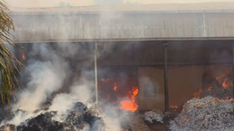 Bijapur Fire Accident: ईटपाल के तेंदूपत्ता गोदाम में लगी भयंकर आग; 18 हजार मानक बोरे जलकर खाक, 10 करोड़ का भारी नुकसान