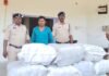 Jashpur Police Action : जशपुर पुलिस की बड़ी कार्रवाई; आम की खेप के नीचे छिपाकर ले जाया जा रहा 207 किलो गांजा जब्त, एक गिरफ्तार